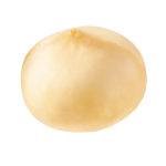 DM_20260226092849_001